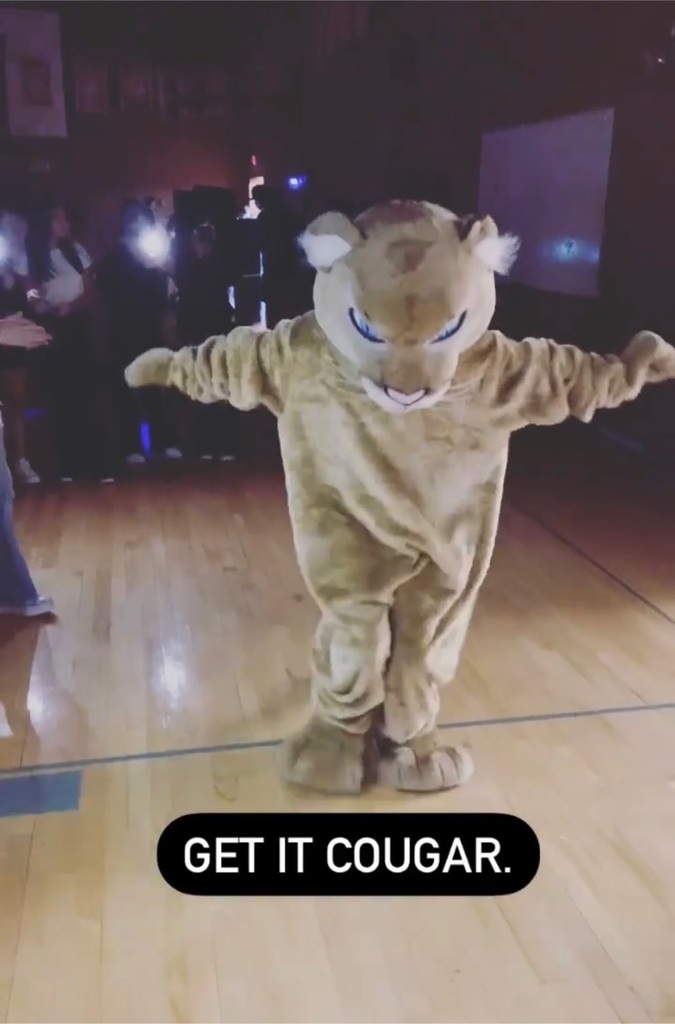 cougar dancing